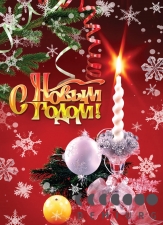 С Наступающим 2011 годом!!!