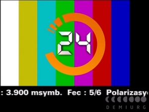 24